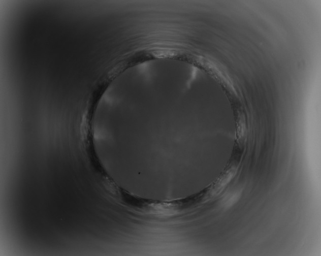X0000087530367200705181035