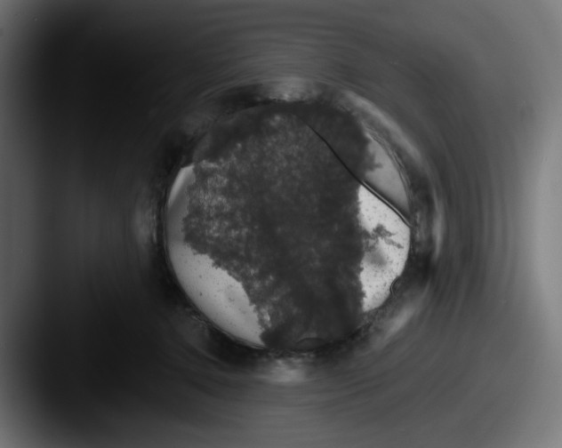 X0000087530368200705181035