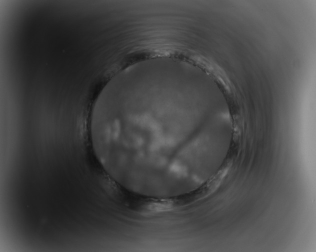 X0000087530369200705181035