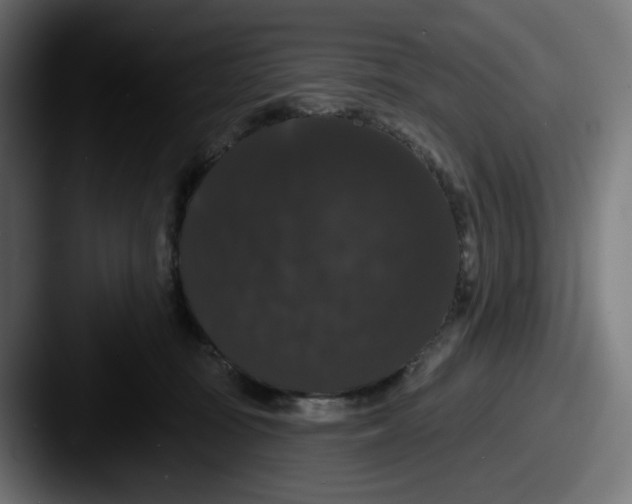 X0000087530371200705181035