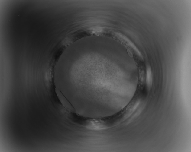 X0000087530372200705181035