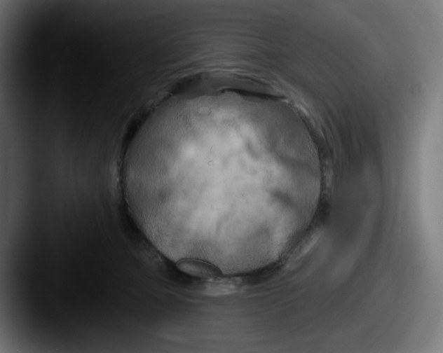 X0000087530373200705181035