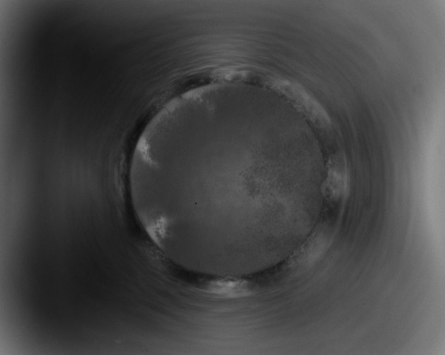 X0000087530375200705181035