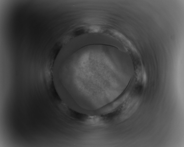 X0000087530376200705181035