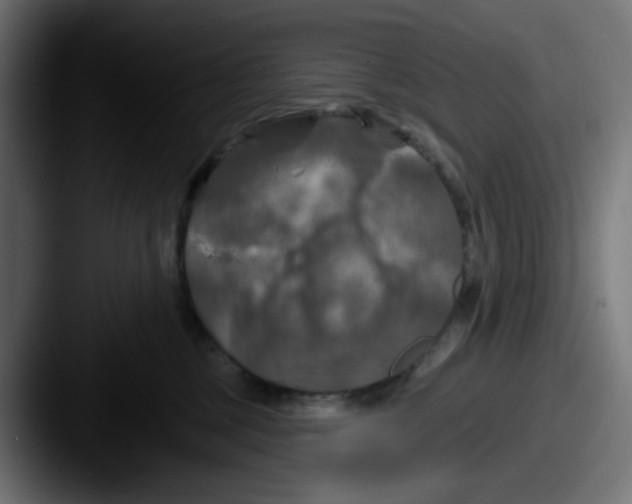 X0000087530377200705181035