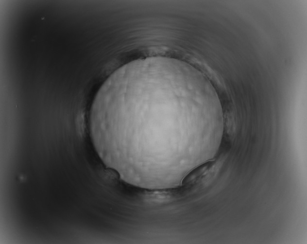 X0000087530378200705181035