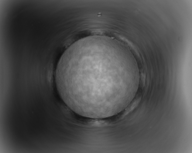X0000087530379200705181035
