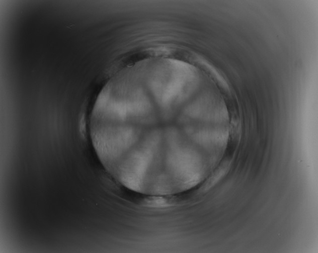 X0000087530381200705181035