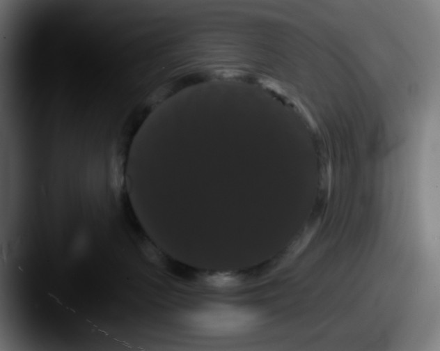 X0000087530383200705181035