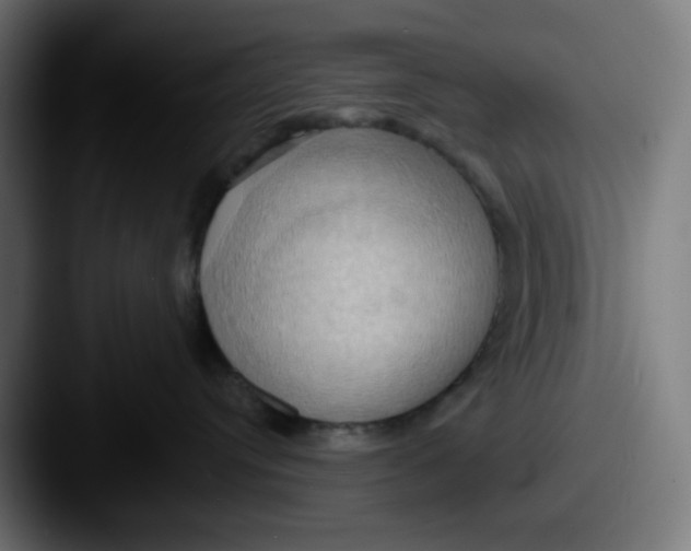 X0000087530384200705181035