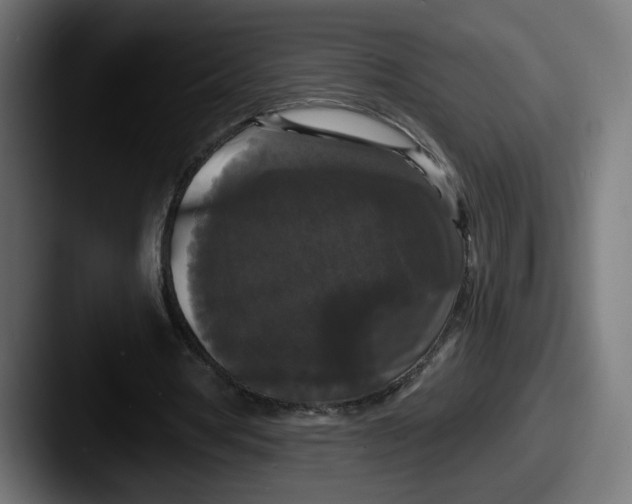 X0000087530386200705181034