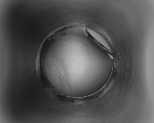 X0000087530388200705181034