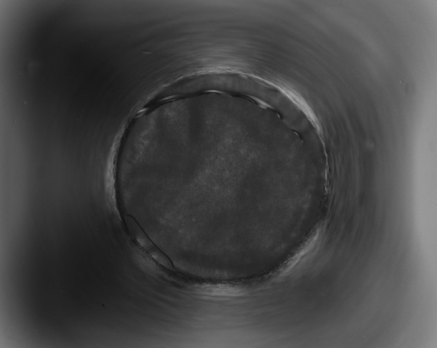 X0000087530389200705181034