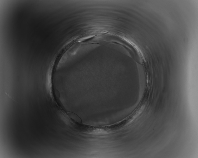 X0000087530390200705181034
