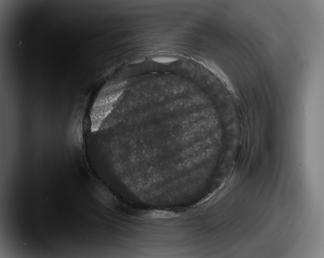 X0000087530393200705181034