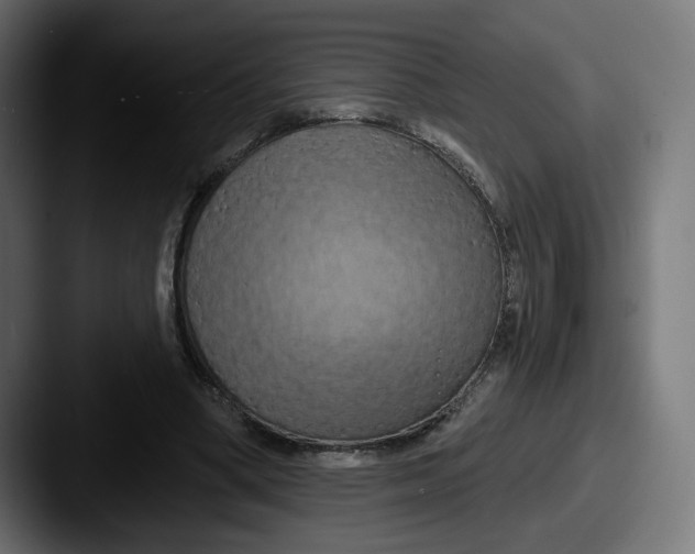 X0000087530394200705181034