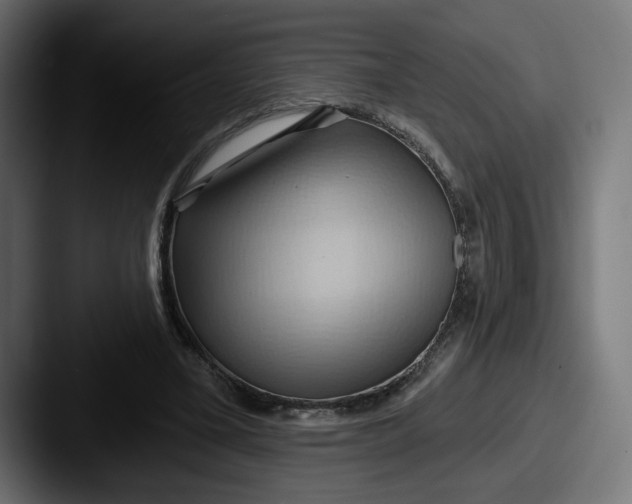 X0000087530395200705181034