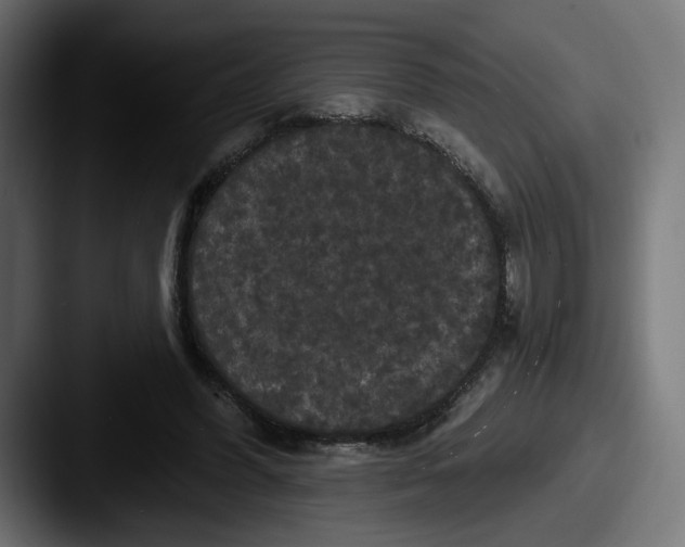 X0000087530396200705181034