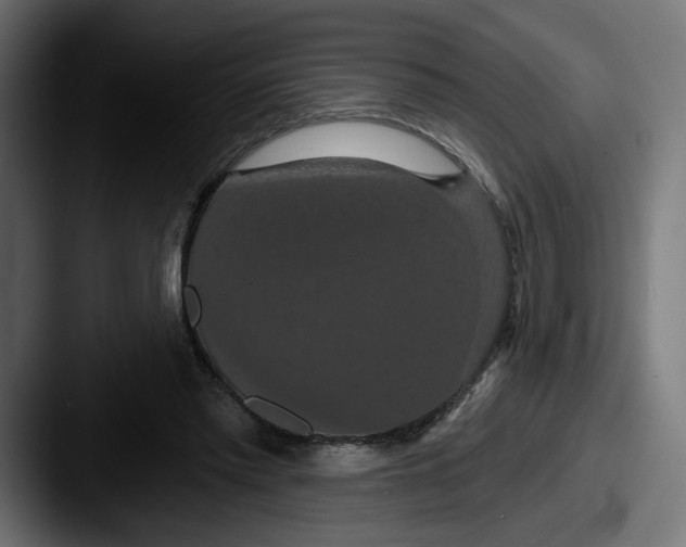 X0000087530397200705181034