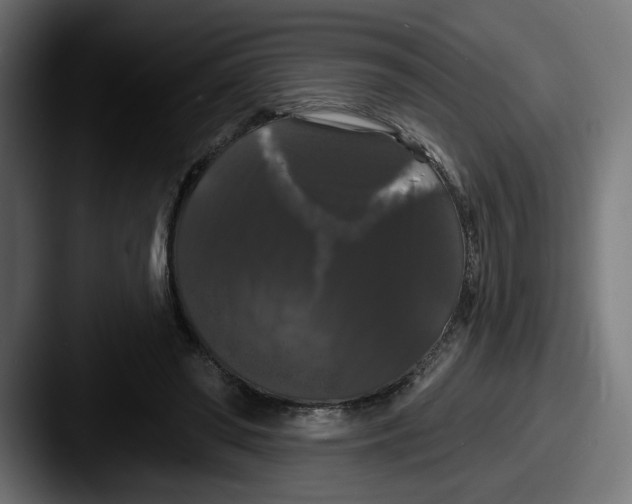X0000087530398200705181034