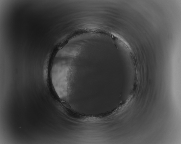 X0000087530399200705181034