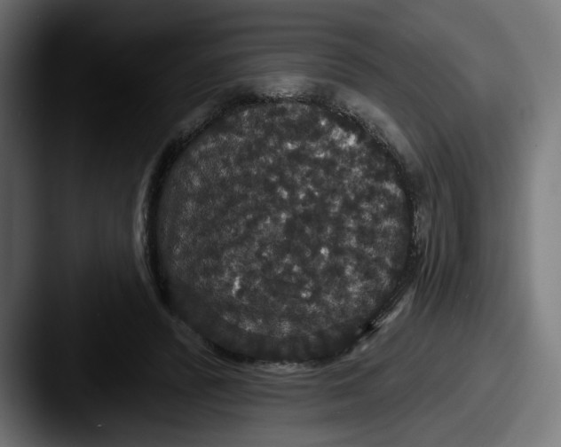 X0000087530400200705181034
