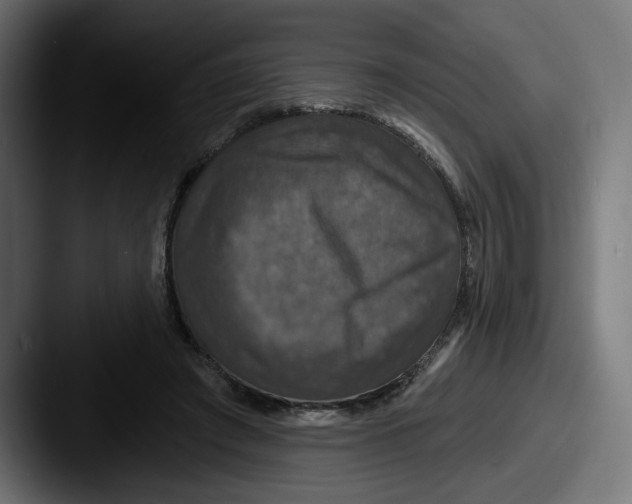 X0000087530401200705181034