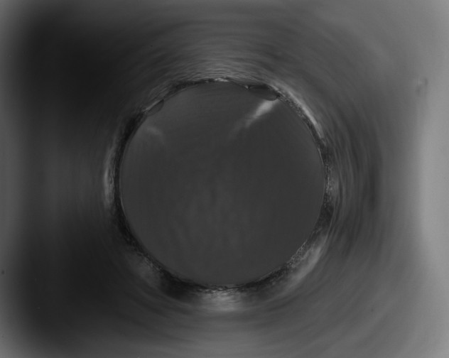 X0000087530402200705181034