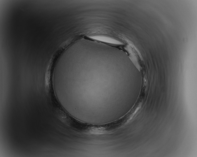X0000087530403200705181034