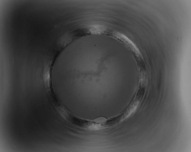 X0000087530405200705181034