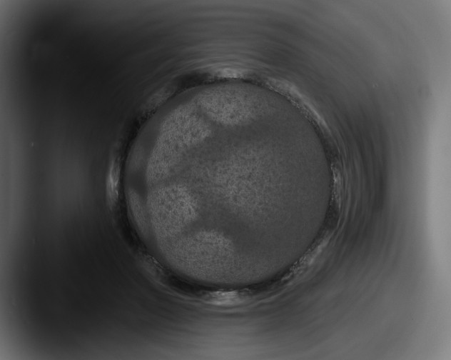 X0000087530406200705181034