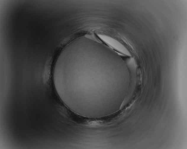 X0000087530407200705181034