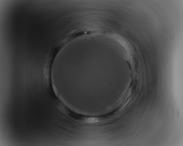 X0000087530409200705181034