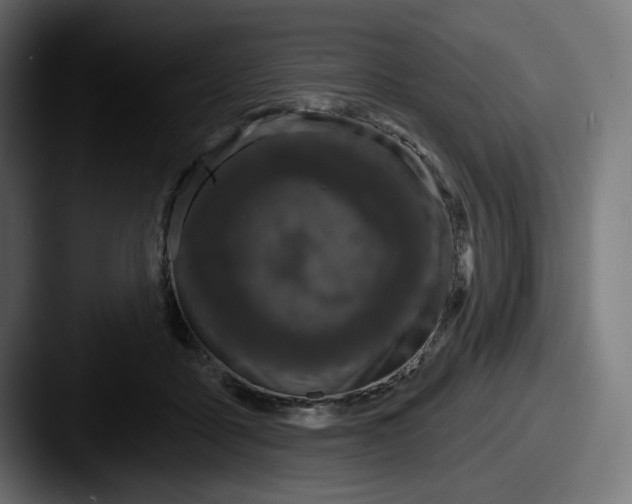 X0000087530411200705181034