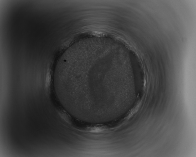 X0000087530412200705181034