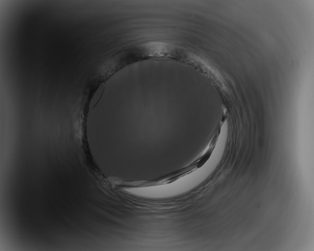 X0000087530413200705181034