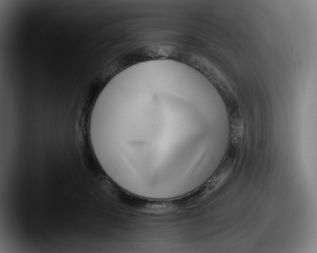 X0000087530414200705181034