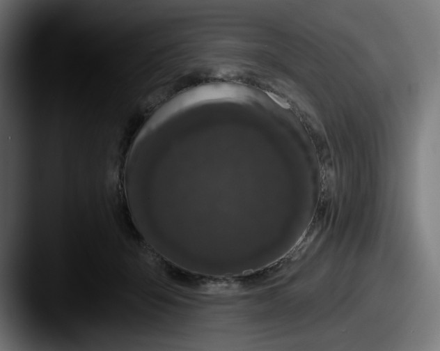 X0000087530415200705181034
