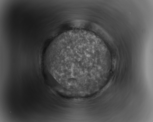 X0000087530416200705181034