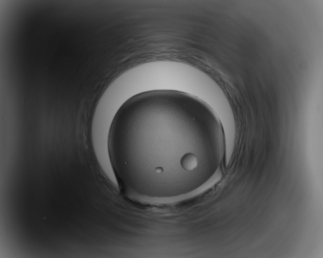X0000087530417200705181034