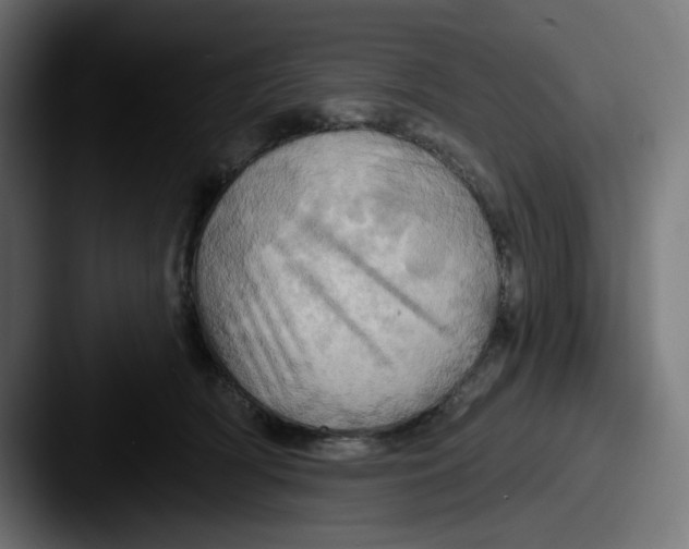X0000087530418200705181034
