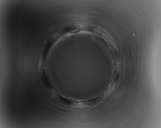 X0000087530419200705181034