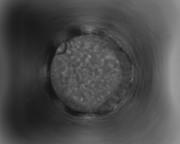 X0000087530420200705181034