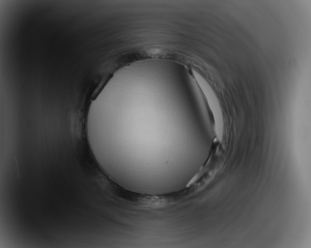 X0000087530421200705181034