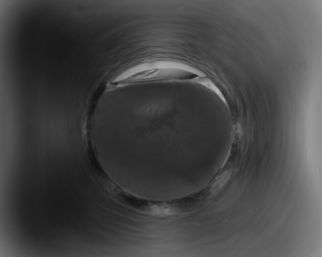 X0000087530423200705181034