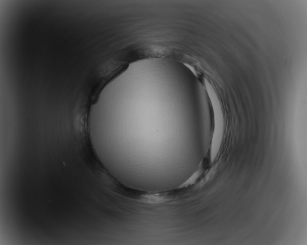 X0000087530425200705181034