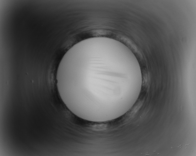 X0000087530426200705181034