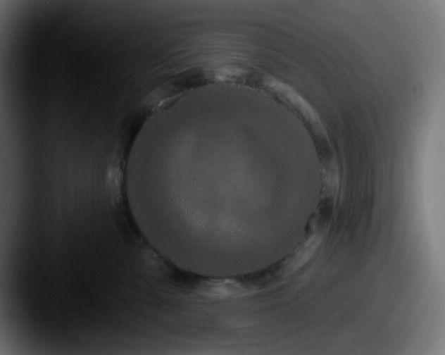 X0000087530427200705181034