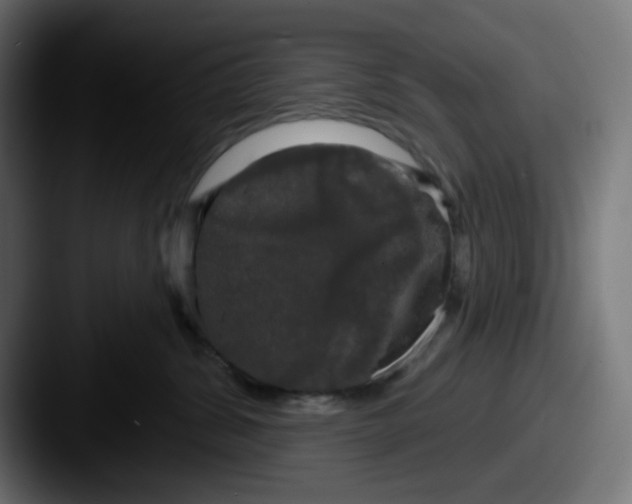 X0000087530428200705181034
