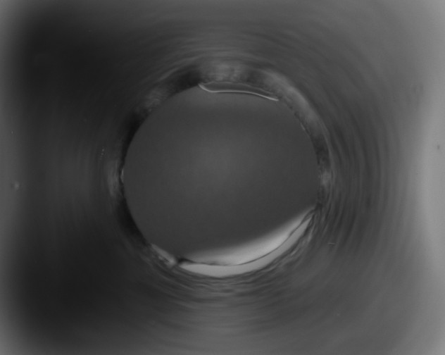 X0000087530429200705181034